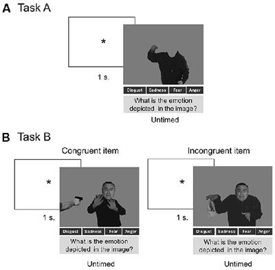 Out of Context, Beyond the Face: Neuroanatomical Pathways of Emotional Face-Body Language Integration in Adolescent Offenders